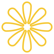 关于我们 - FIFAshengxinxing